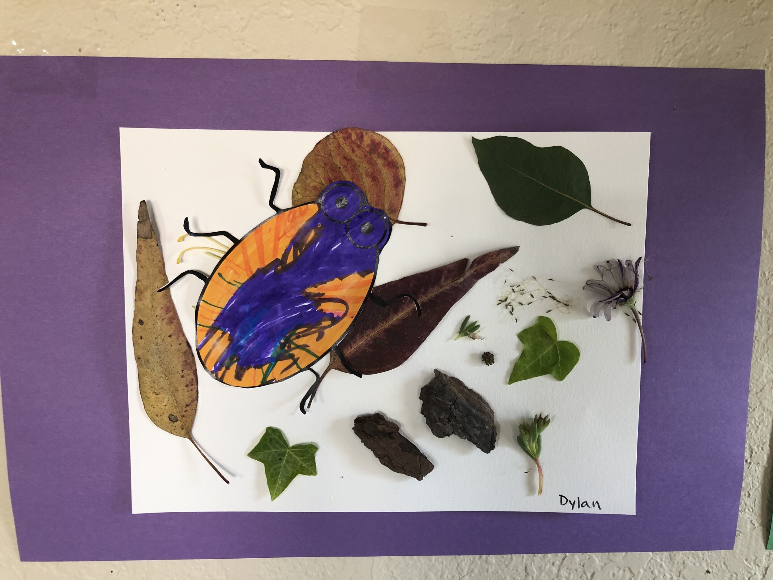 Spring Time Nature Art Project